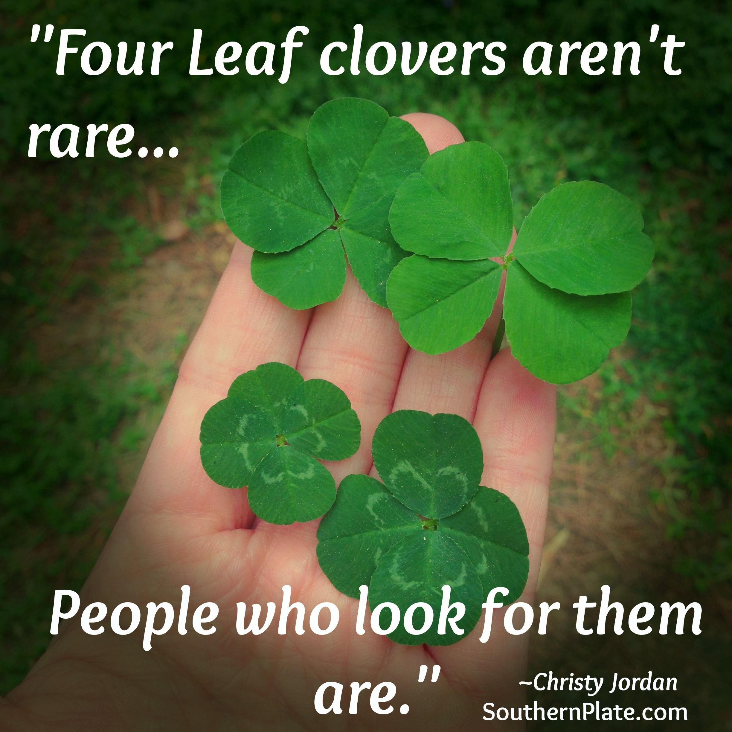31 Best 4 Leaf Clover Quotes