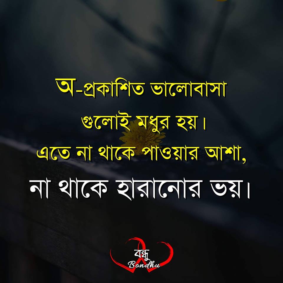 23 Best Bangla Quotes