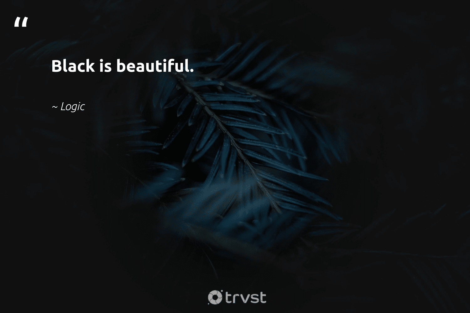 64 Best Black Color Quotes