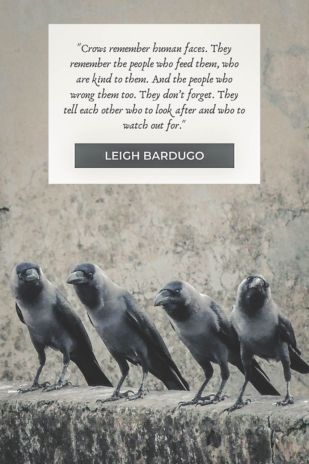 43 Best Crow Quotes