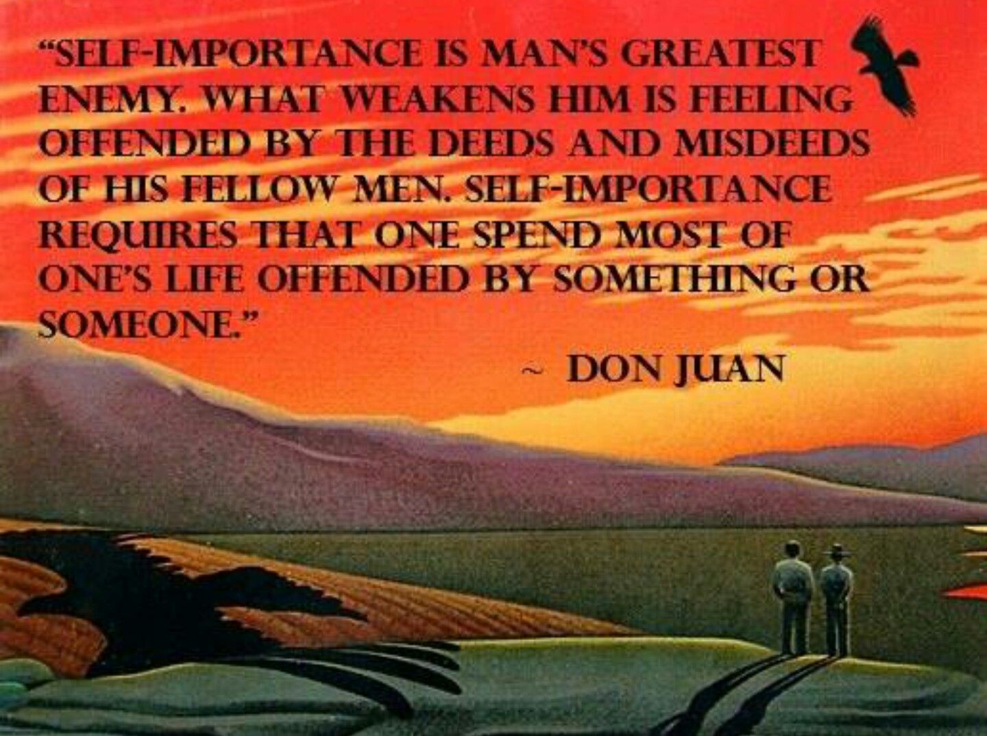 42 Best Don Juan Quotes