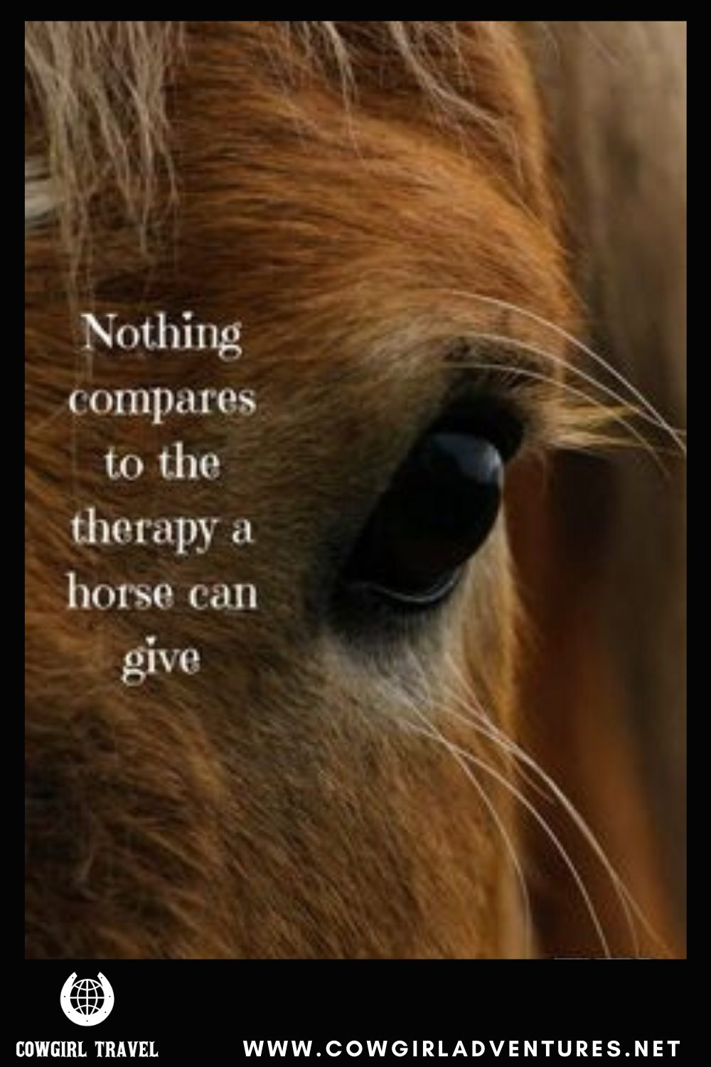 54 Best Horse Therapy Quotes