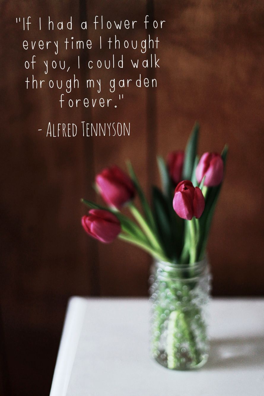 56 Best Tulip Quotes